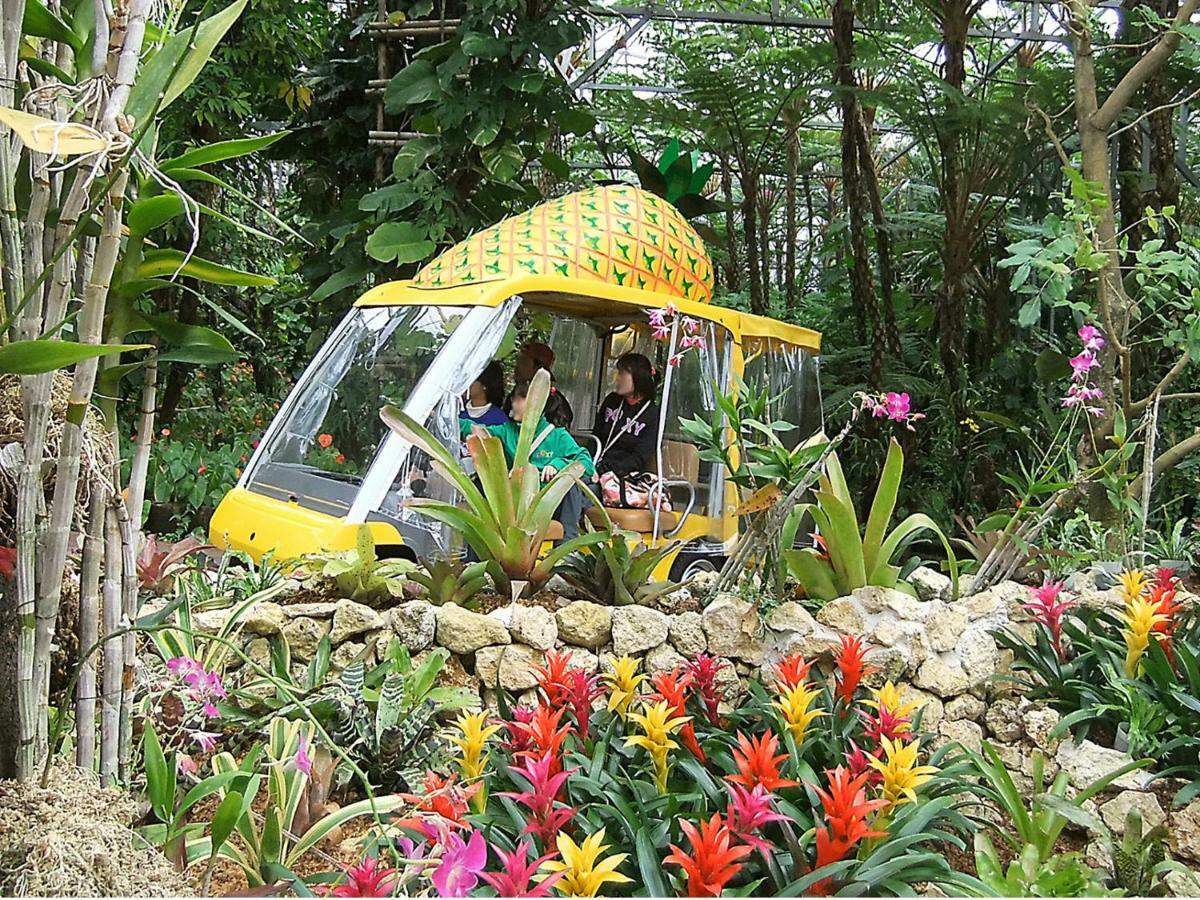 Okinawa City Hotel 3*